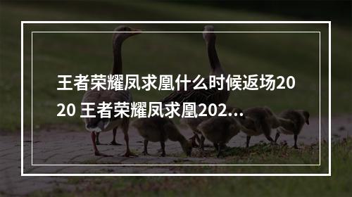 王者荣耀凤求凰什么时候返场2020 王者荣耀凤求凰2020返场时间