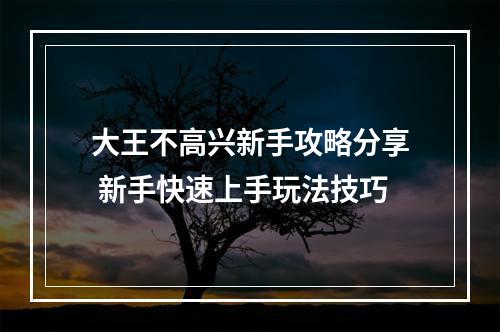 大王不高兴新手攻略分享 新手快速上手玩法技巧