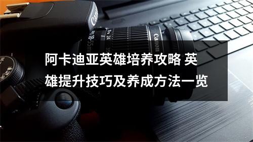 阿卡迪亚英雄培养攻略 英雄提升技巧及养成方法一览