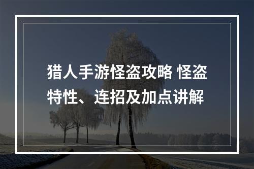 猎人手游怪盗攻略 怪盗特性、连招及加点讲解