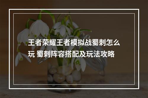 王者荣耀王者模拟战蜀刺怎么玩 蜀刺阵容搭配及玩法攻略