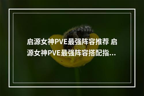 启源女神PVE最强阵容推荐 启源女神PVE最强阵容搭配指南