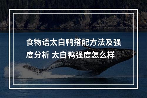 食物语太白鸭搭配方法及强度分析 太白鸭强度怎么样