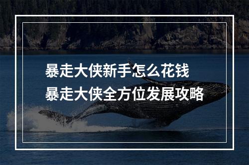 暴走大侠新手怎么花钱 暴走大侠全方位发展攻略