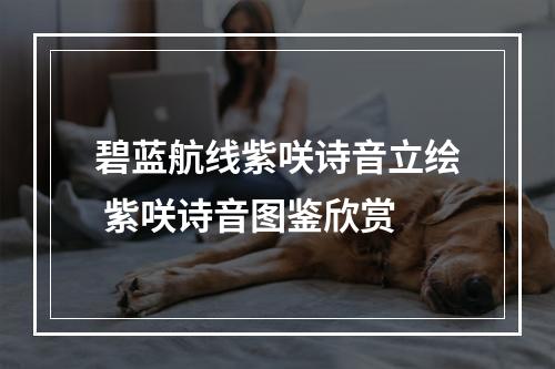 碧蓝航线紫咲诗音立绘 紫咲诗音图鉴欣赏