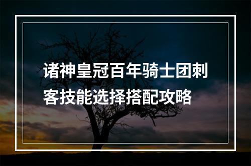 诸神皇冠百年骑士团刺客技能选择搭配攻略