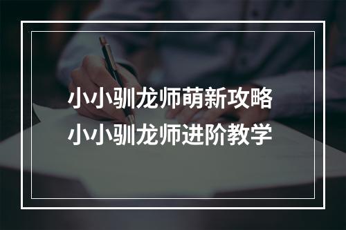 小小驯龙师萌新攻略 小小驯龙师进阶教学