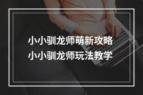 小小驯龙师萌新攻略 小小驯龙师玩法教学