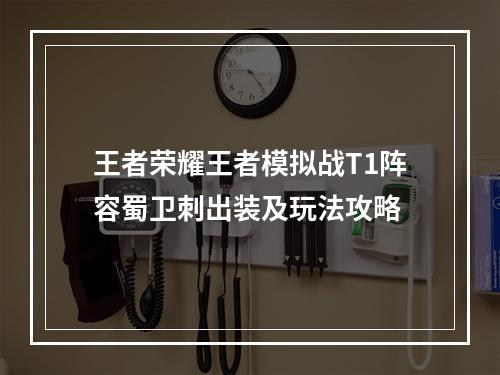 王者荣耀王者模拟战T1阵容蜀卫刺出装及玩法攻略