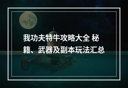 我功夫特牛攻略大全 秘籍、武器及副本玩法汇总