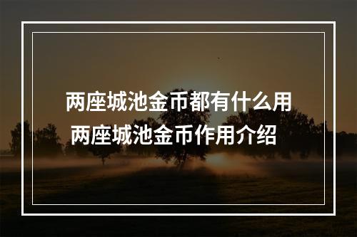 两座城池金币都有什么用 两座城池金币作用介绍