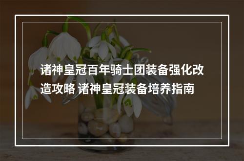 诸神皇冠百年骑士团装备强化改造攻略 诸神皇冠装备培养指南