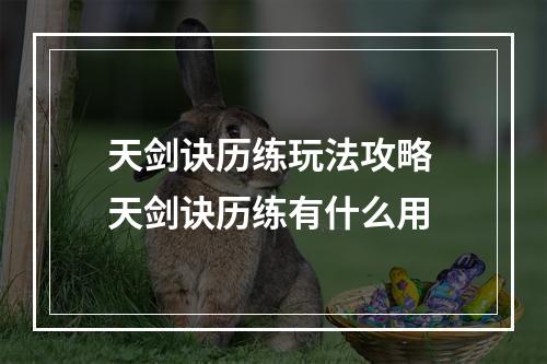 天剑诀历练玩法攻略 天剑诀历练有什么用