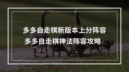 多多自走棋新版本上分阵容 多多自走棋神法阵容攻略