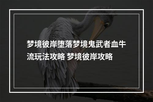 梦境彼岸堕落梦境鬼武者血牛流玩法攻略 梦境彼岸攻略