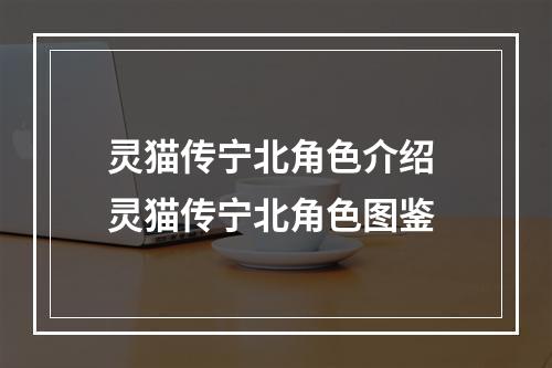 灵猫传宁北角色介绍 灵猫传宁北角色图鉴