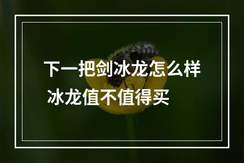 下一把剑冰龙怎么样 冰龙值不值得买