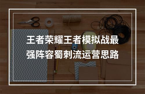 王者荣耀王者模拟战最强阵容蜀刺流运营思路