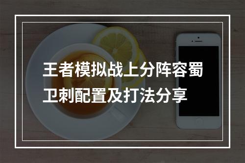 王者模拟战上分阵容蜀卫刺配置及打法分享