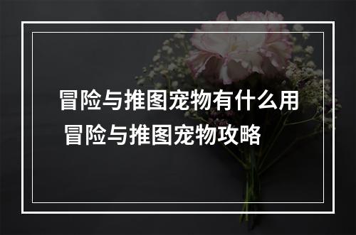 冒险与推图宠物有什么用 冒险与推图宠物攻略