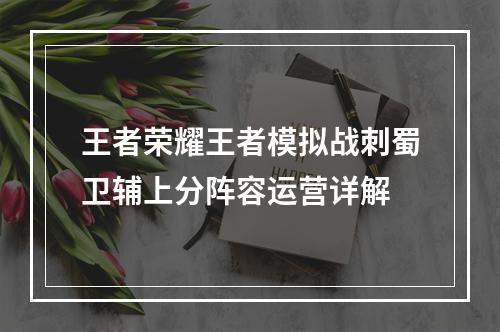 王者荣耀王者模拟战刺蜀卫辅上分阵容运营详解