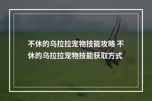 不休的乌拉拉宠物技能攻略 不休的乌拉拉宠物技能获取方式