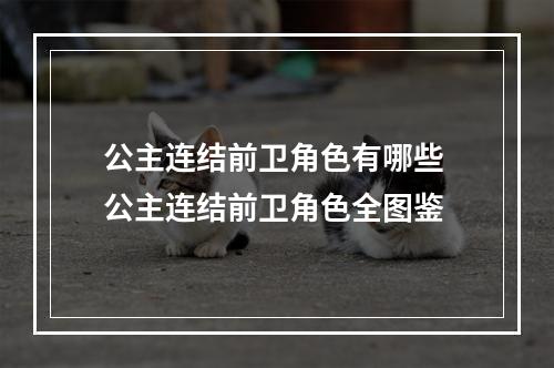 公主连结前卫角色有哪些 公主连结前卫角色全图鉴