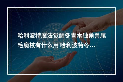 哈利波特魔法觉醒冬青木独角兽尾毛魔杖有什么用 哈利波特冬青木独角兽尾毛魔杖介绍