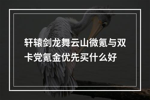 轩辕剑龙舞云山微氪与双卡党氪金优先买什么好