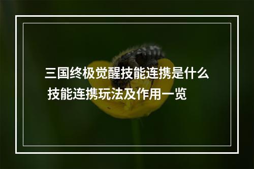 三国终极觉醒技能连携是什么 技能连携玩法及作用一览