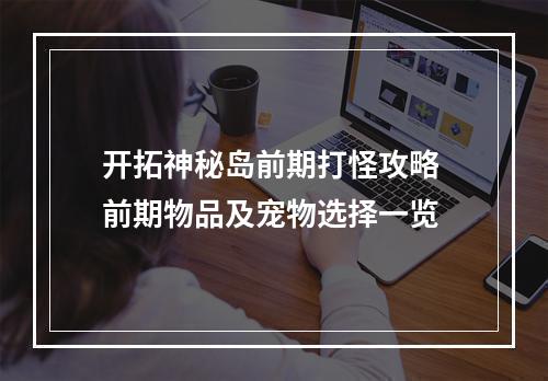 开拓神秘岛前期打怪攻略 前期物品及宠物选择一览