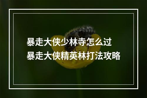 暴走大侠少林寺怎么过 暴走大侠精英林打法攻略