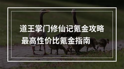 道王掌门修仙记氪金攻略 最高性价比氪金指南