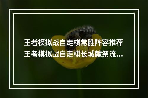 王者模拟战自走棋常胜阵容推荐 王者模拟战自走棋长城献祭流攻略