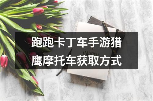 跑跑卡丁车手游猎鹰摩托车获取方式