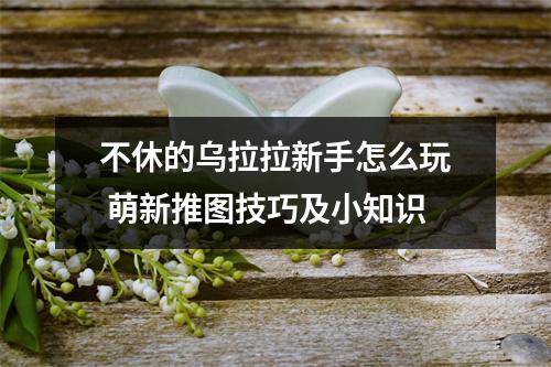 不休的乌拉拉新手怎么玩 萌新推图技巧及小知识