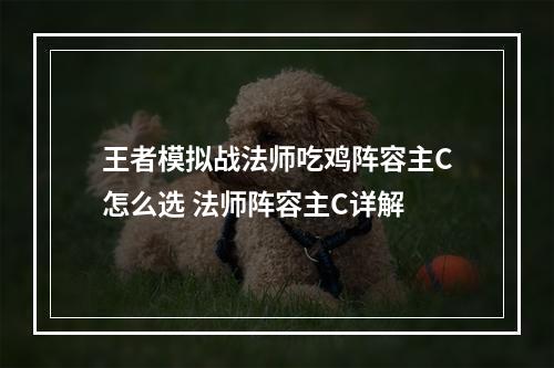 王者模拟战法师吃鸡阵容主C怎么选 法师阵容主C详解