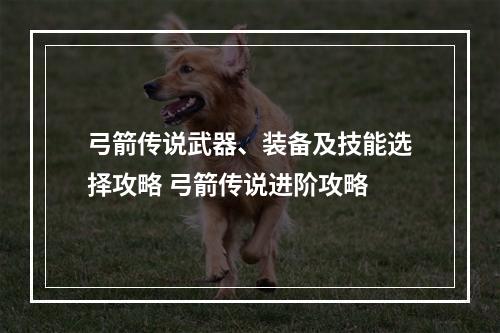 弓箭传说武器、装备及技能选择攻略 弓箭传说进阶攻略