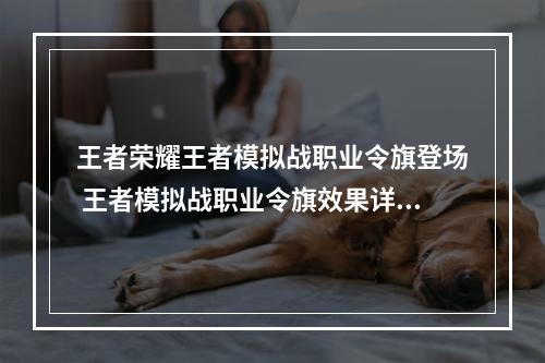 王者荣耀王者模拟战职业令旗登场 王者模拟战职业令旗效果详解