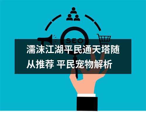 濡沫江湖平民通天塔随从推荐 平民宠物解析