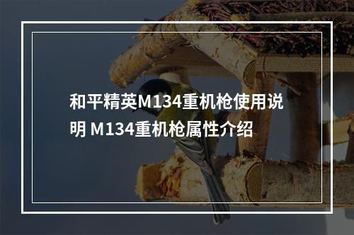 和平精英M134重机枪使用说明 M134重机枪属性介绍