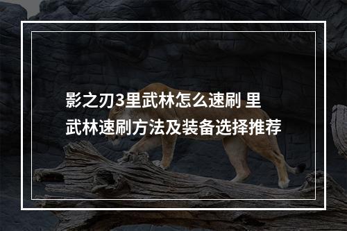 影之刃3里武林怎么速刷 里武林速刷方法及装备选择推荐