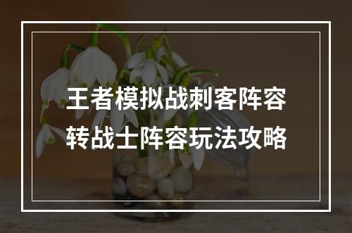 王者模拟战刺客阵容转战士阵容玩法攻略