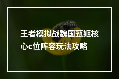 王者模拟战魏国甄姬核心c位阵容玩法攻略