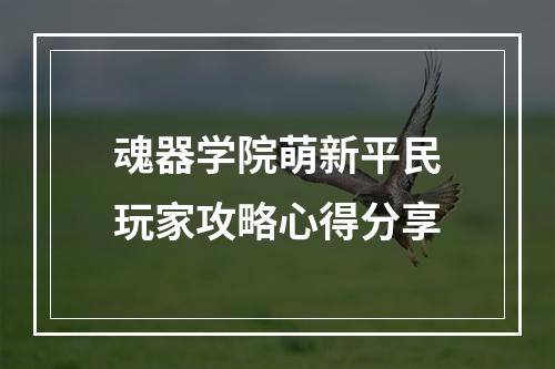 魂器学院萌新平民玩家攻略心得分享