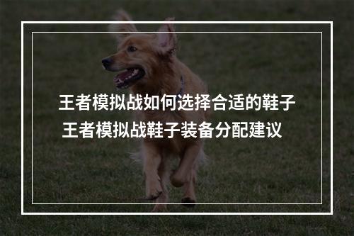 王者模拟战如何选择合适的鞋子 王者模拟战鞋子装备分配建议