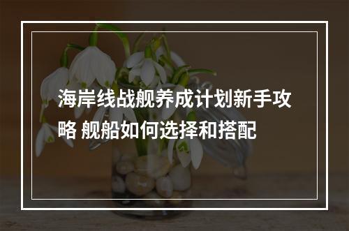 海岸线战舰养成计划新手攻略 舰船如何选择和搭配