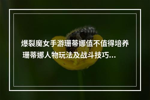 爆裂魔女手游珊蒂娜值不值得培养 珊蒂娜人物玩法及战斗技巧详解