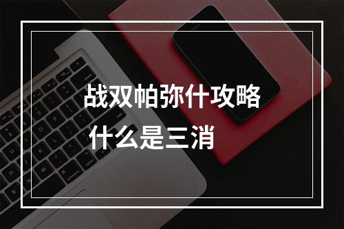 战双帕弥什攻略 什么是三消