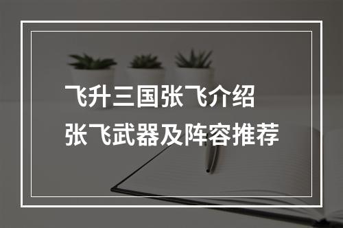 飞升三国张飞介绍 张飞武器及阵容推荐